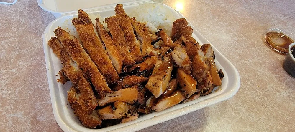 Teriyaki and Katsu Chicken